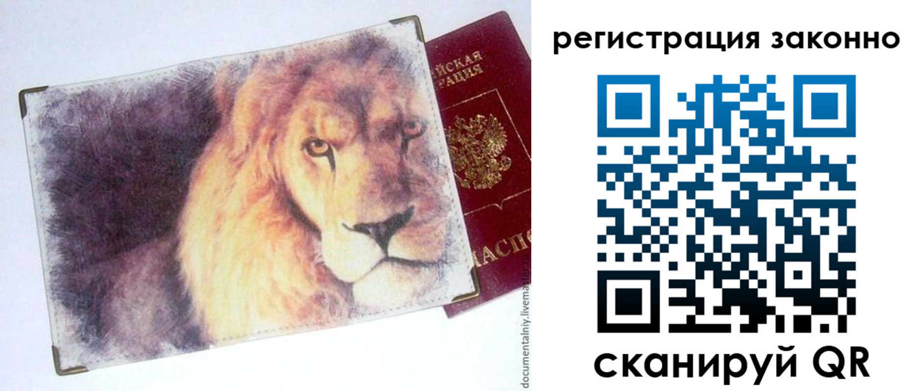 прописка гарантия в Зее