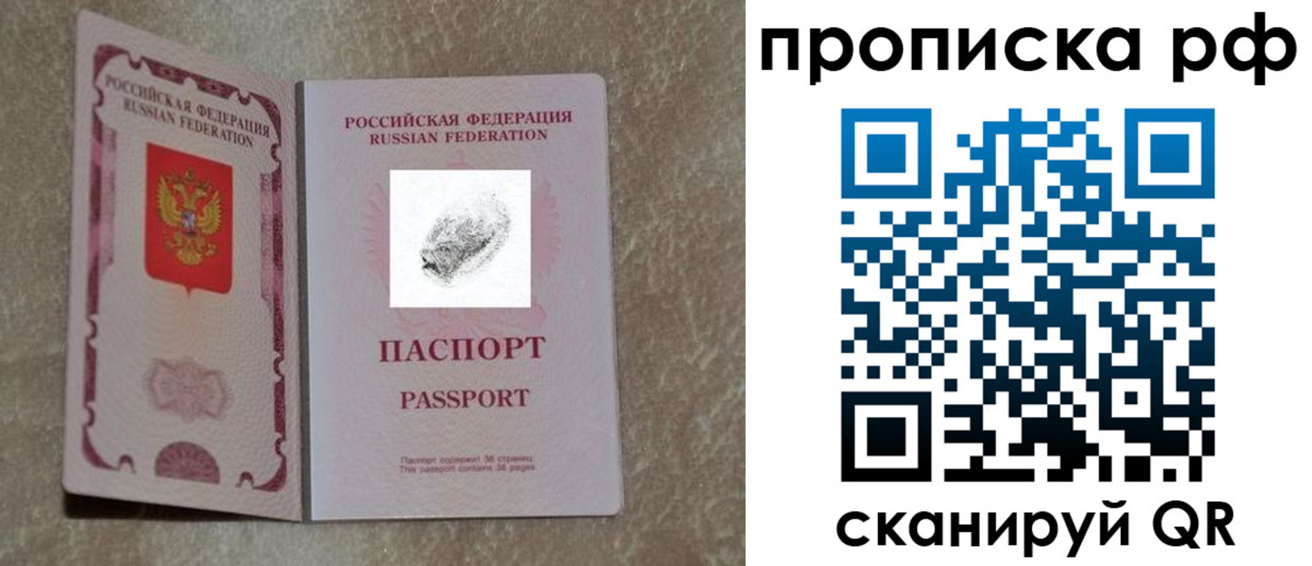 прописка поиск в Зее